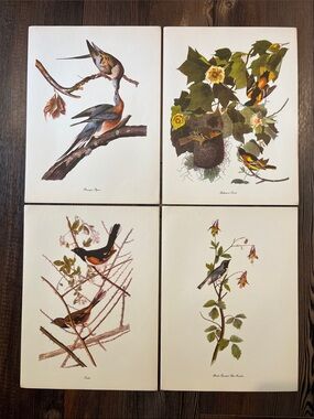 Audubon Birds Of America Prints (L3)